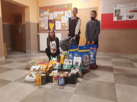 Zbiórka karmy dla zwierząt ze schroniska