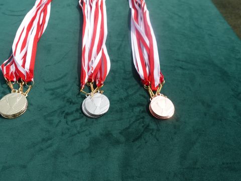 Dni sportu 2025